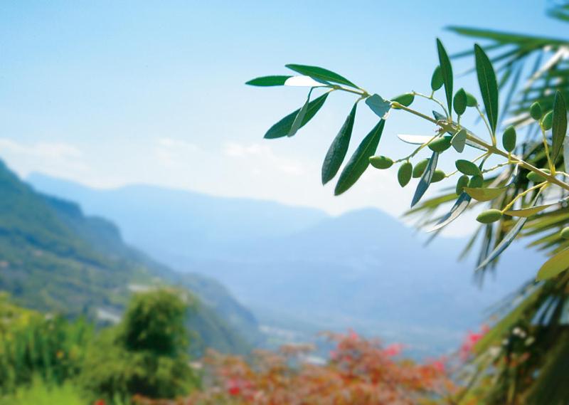 Pension Zum Burggraefler เชนนา ภายนอก รูปภาพ