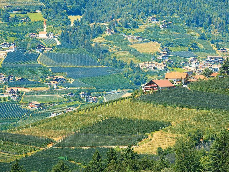 Pension Zum Burggraefler เชนนา ภายนอก รูปภาพ